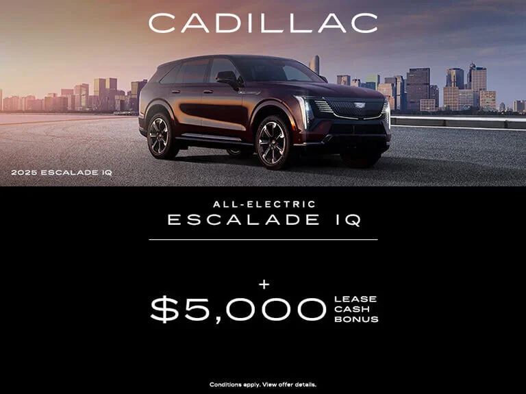 Magnetis Auto - Monthly Offers